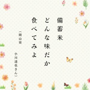 オレンジ　ベージュ　グリーン　ピンク　シンプル　ナチュラル　かわいい　季節　俳句　インスタグラム　投稿 (6)のサムネイル